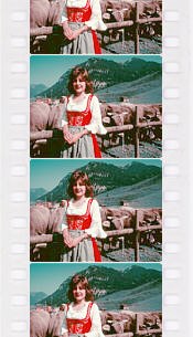 2 Color Subtractive Print